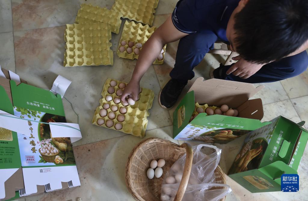 pg电子试玩入口官网